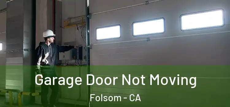  Garage Door Not Moving Folsom - CA